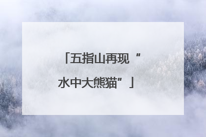 五指山再现“水中大熊猫”