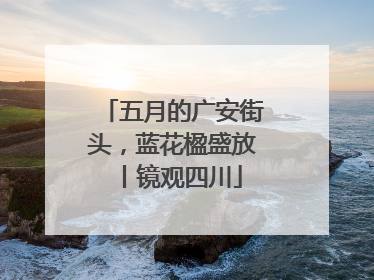 五月的广安街头，蓝花楹盛放丨镜观四川