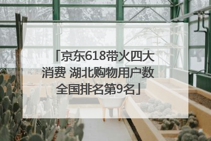 京东618带火四大消费 湖北购物用户数全国排名第9名