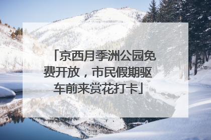 京西月季洲公园免费开放，市民假期驱车前来赏花打卡