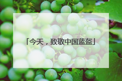 今天，致敬中国蓝盔