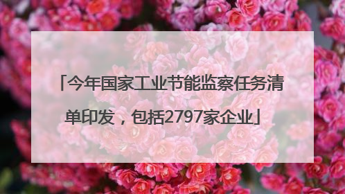 今年国家工业节能监察任务清单印发，包括2797家企业