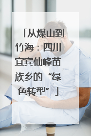 从煤山到竹海：四川宜宾仙峰苗族乡的“绿色转型”