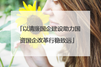 以清廉国企建设助力国资国企改革行稳致远