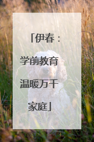 伊春：学前教育温暖万千家庭