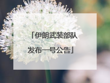 伊朗武装部队发布一号公告