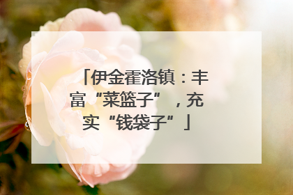 伊金霍洛镇：丰富“菜篮子”，充实“钱袋子”