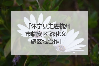 休宁县走进杭州市临安区 深化文旅区域合作