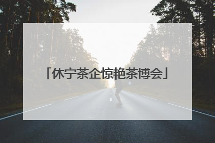 休宁茶企惊艳茶博会