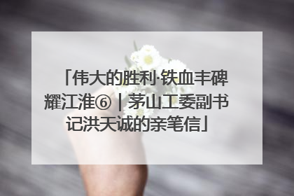 伟大的胜利·铁血丰碑耀江淮⑥｜茅山工委副书记洪天诚的亲笔信