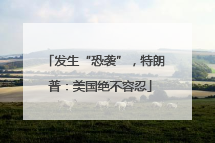 发生“恐袭”，特朗普：美国绝不容忍