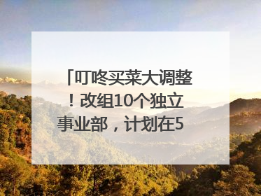 叮咚买菜大调整！改组10个独立事业部，计划在5月完成App端全面改版