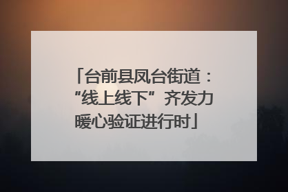 台前县凤台街道：“线上线下”齐发力 暖心验证进行时