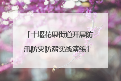 十堰花果街道开展防汛防灾防溺实战演练