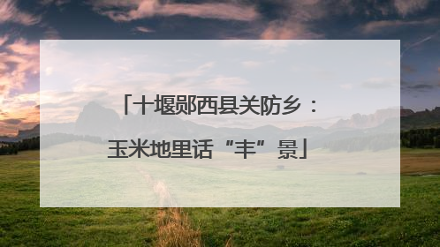 十堰郧西县关防乡：玉米地里话“丰”景