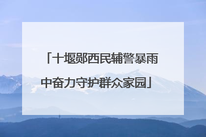 十堰郧西民辅警暴雨中奋力守护群众家园