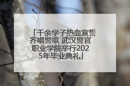千余学子热血宣誓齐唱警歌 武汉警官职业学院举行2025年毕业典礼