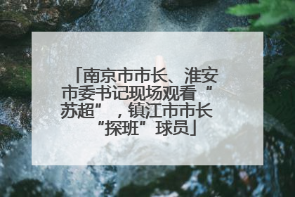 南京市市长、淮安市委书记现场观看“苏超”，镇江市市长“探班”球员