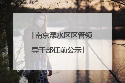 南京溧水区区管领导干部任前公示