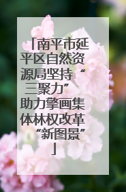 南平市延平区自然资源局坚持“三聚力” 助力擎画集体林权改革“新图景”