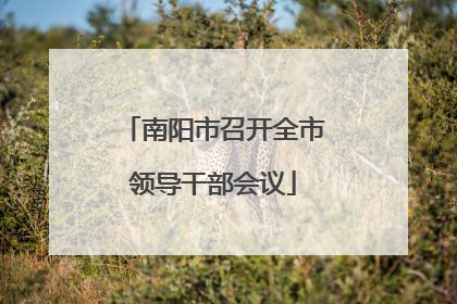 南阳市召开全市领导干部会议