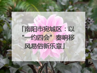 南阳市宛城区：以“一约四会”奏响移风易俗新乐章