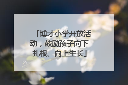 博才小学开放活动，鼓励孩子向下扎根、向上生长