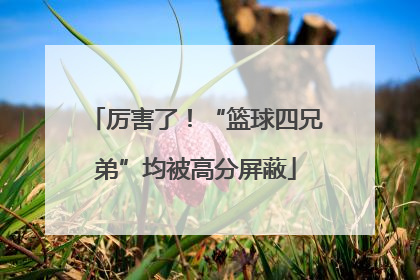 厉害了！“篮球四兄弟”均被高分屏蔽
