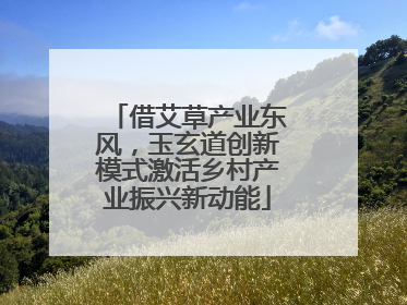 借艾草产业东风，玉玄道创新模式激活乡村产业振兴新动能