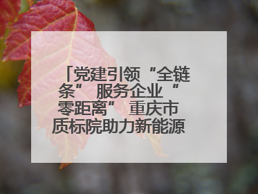 党建引领“全链条” 服务企业“零距离” 重庆市质标院助力新能源汽车产业链提升质量管理水平