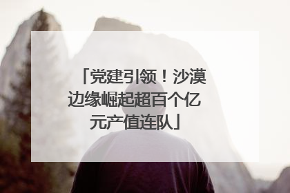 党建引领！沙漠边缘崛起超百个亿元产值连队