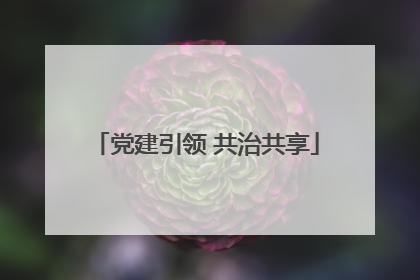 党建引领 共治共享