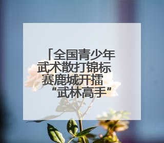 全国青少年武术散打锦标赛鹿城开擂 “武林高手”强强对话