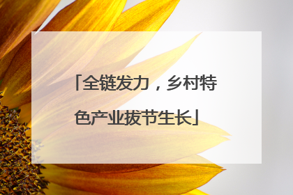 全链发力，乡村特色产业拔节生长