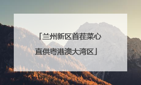 兰州新区首茬菜心直供粤港澳大湾区