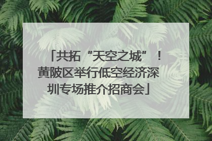 共拓“天空之城”！黄陂区举行低空经济深圳专场推介招商会