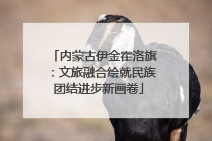 内蒙古伊金霍洛旗：文旅融合绘就民族团结进步新画卷
