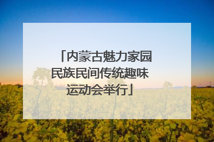 内蒙古魅力家园民族民间传统趣味运动会举行