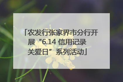 农发行张家界市分行开展“6.14 信用记录关爱日”系列活动
