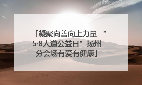 凝聚向善向上力量 “5·8人道公益日”扬州分会场有爱有健康