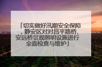 切实做好汛期安全保障，静安区对对昌平路桥、安远桥景观照明设施进行全面检查与维护