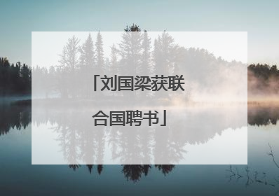 刘国梁获联合国聘书