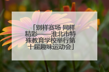 别样赛场 同样精彩——淮北市特殊教育学校举行第十届趣味运动会