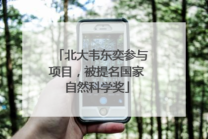 北大韦东奕参与项目，被提名国家自然科学奖