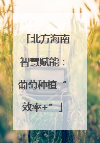 北方海南智慧赋能：葡萄种植“效率+”