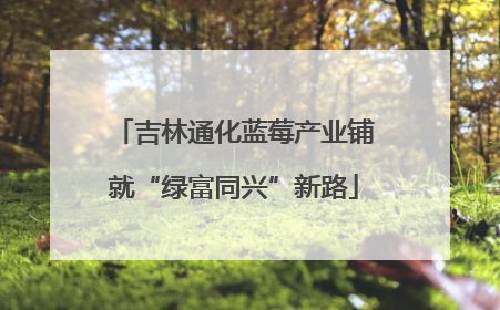 吉林通化蓝莓产业铺就“绿富同兴”新路