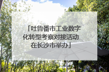 吐鲁番市工业数字化转型考察对接活动在长沙市举办
