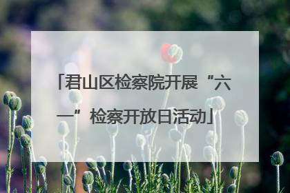 君山区检察院开展“六一”检察开放日活动
