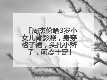 周杰伦晒3岁小女儿背影照，身穿格子裙，头扎小辫子，萌态十足