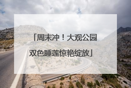 周末冲！大观公园双色睡莲惊艳绽放